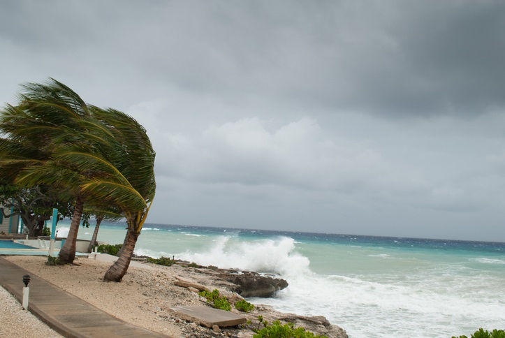 Hurricane image from the Bahamas, beach and windy palm trees