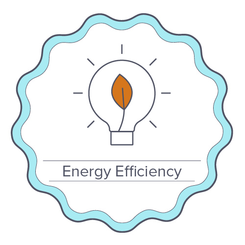 Energy Efficiency Badge