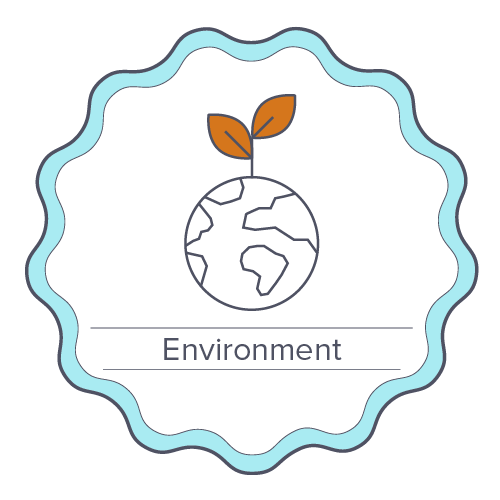 environment illustration