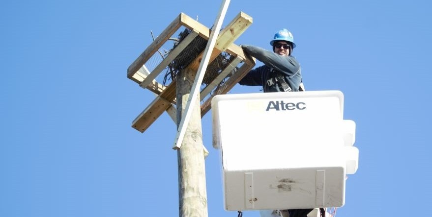 Osprey platform gives bird’s eye view of reliability upgrades in Cumberland County