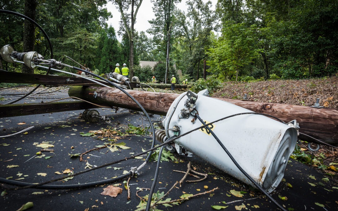 PPL Electric offering free power line safety information for motorists