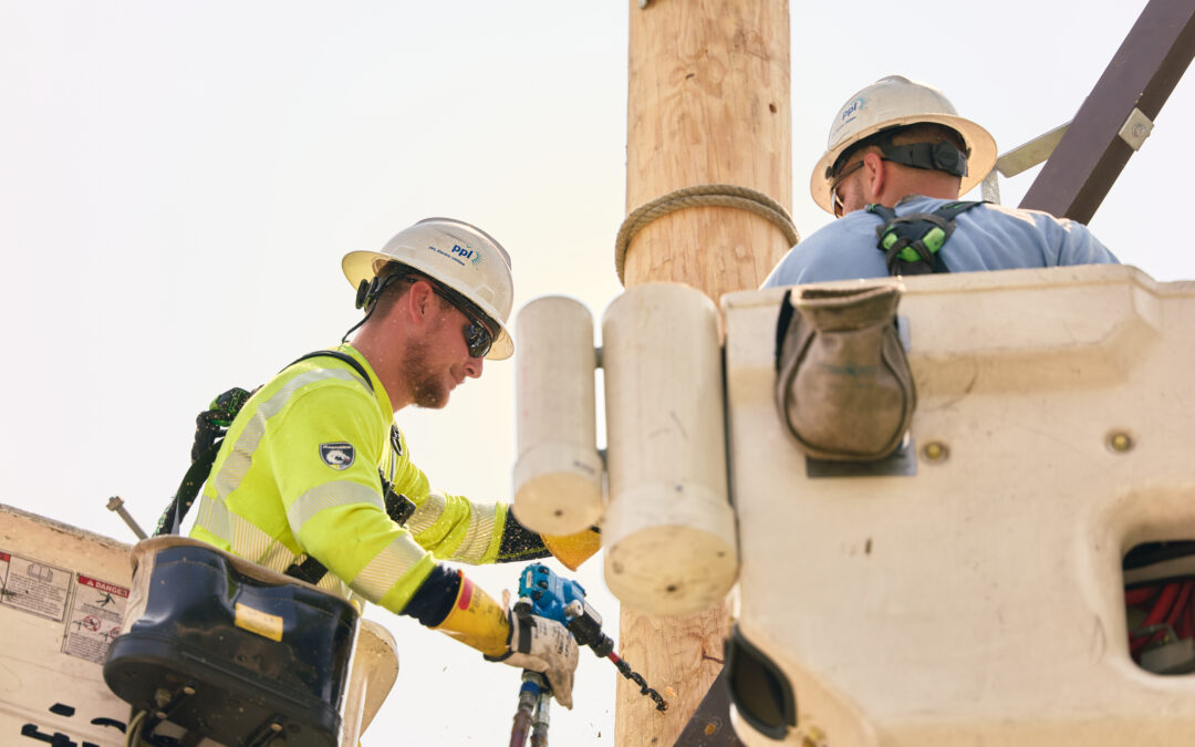 Investing in reliability: how we’re keeping the lights on for you