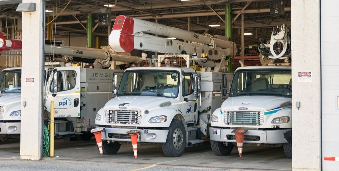 A freshly planted, small flowering tree in a field with a shovel and watering can nearby.