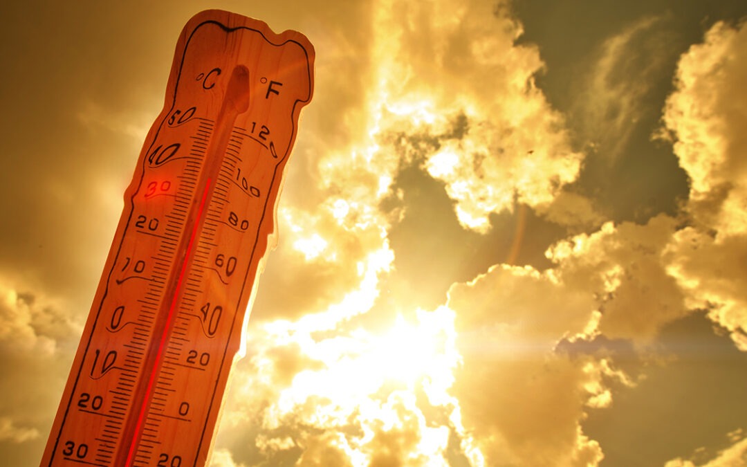 Stay safe and cool when extreme heat hits