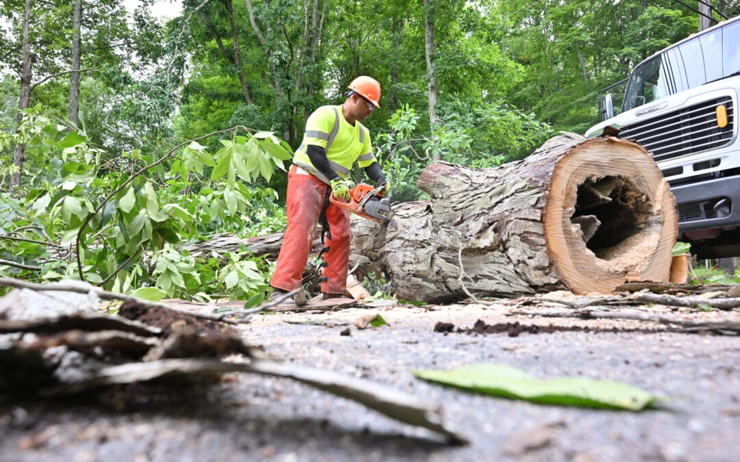 Restoration efforts continue