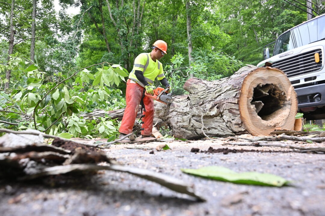 070526_Storm Restoration_Pocono_002 – USED Worker cutting tree stump