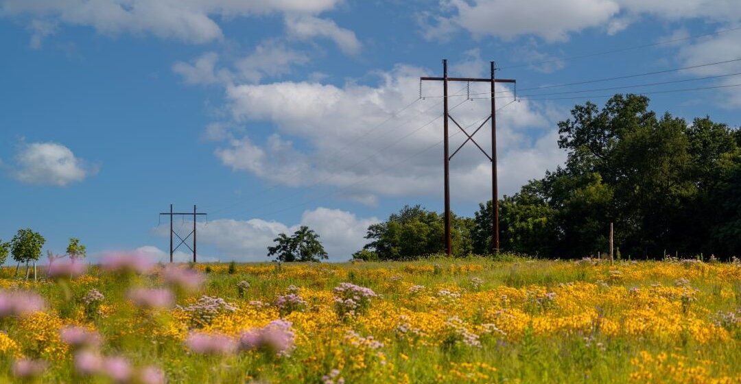 Partners in preservation: A new meadow at Lancaster Conservancy