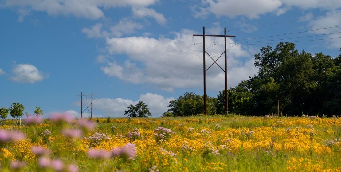 A photo of PPL Electric power lines running across the Safe Harbor Nature Preserve.